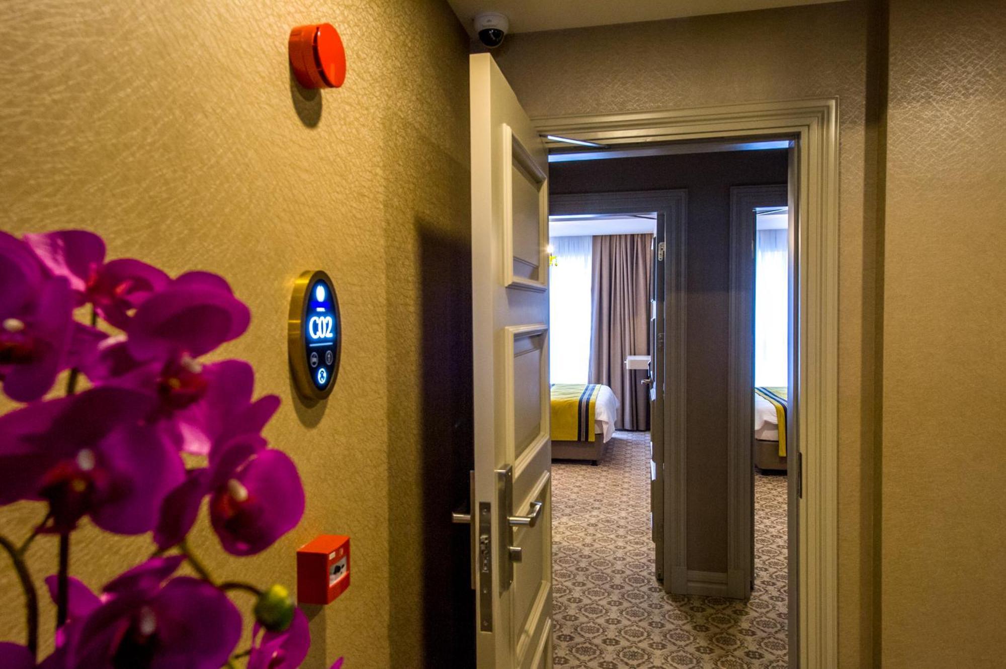 Homelike Hotel — Photos 2